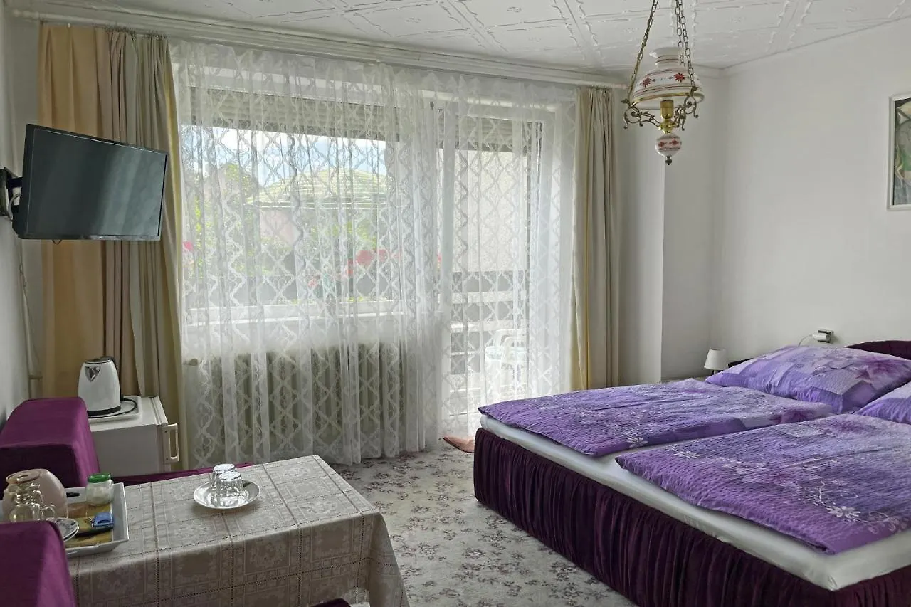 Pension Villa Hany Marianske Lazne 3*,  Czech Republic